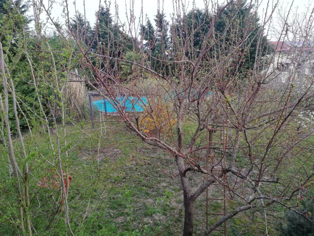 Camomilla Appartement Ravenna Buitenkant foto